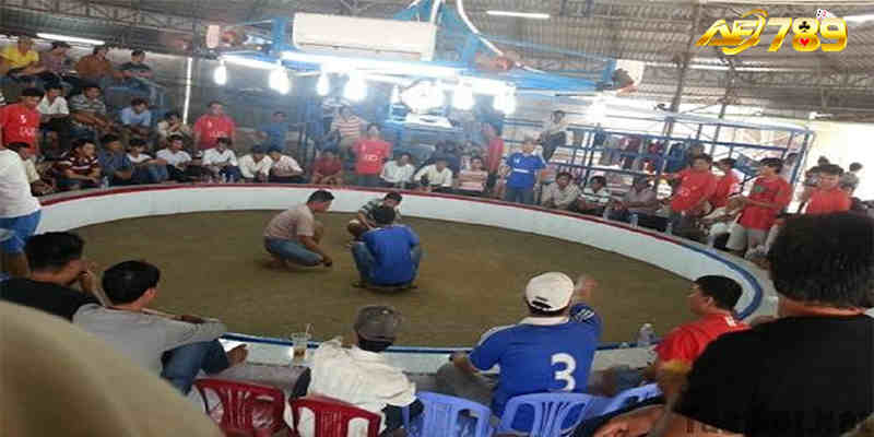 Đá gà Campuchia với những đặc sắc rất riêng